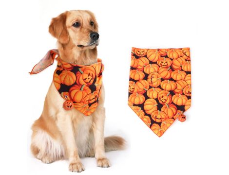 Halloween wartość rynkowa: 4995 € (587 szt.) - 10