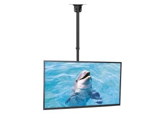 TV Accessories market value: 1321 € (36 pcs.) - image 2