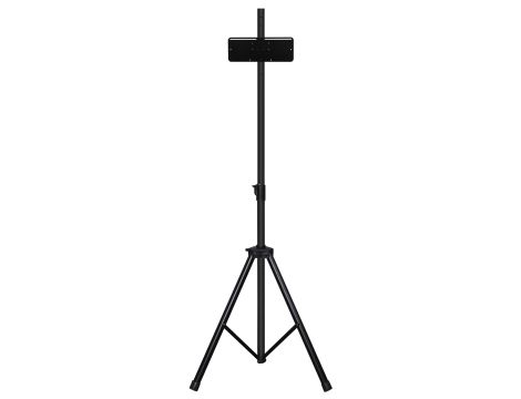 Sport wartość rynkowa: 156 € (5 szt.)