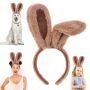 Halloween wartość rynkowa: 2927 € (352 szt.) - 11