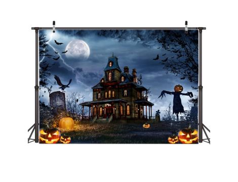 Halloween wartość rynkowa: 4215 € (284 szt.) - 13