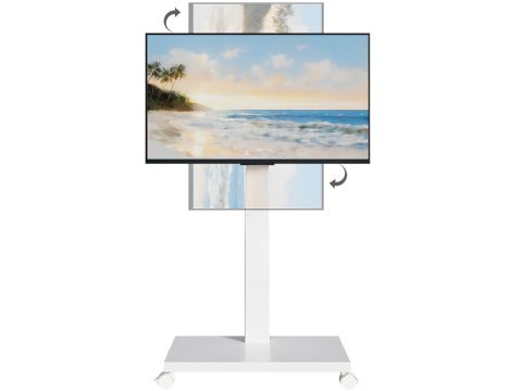 Akcesoria TV wartość rynkowa: 2382 € (69 szt.) - 10