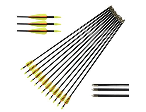 Sport wartość rynkowa: 1479 € (33 szt.) - 5