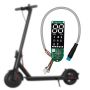 Sport wartość rynkowa: 3485 € (120 szt.) - 2