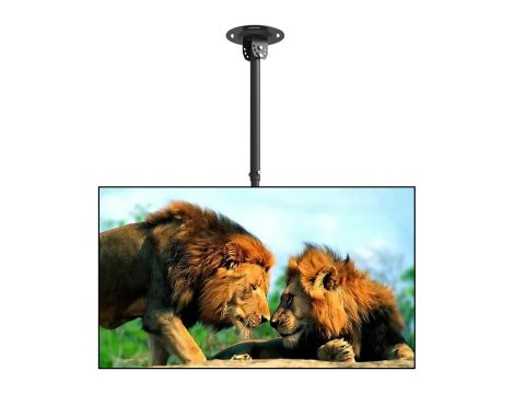 TV Accessories market value: 1253 € (59 pcs.) - 8