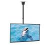 TV Accessories market value: 1253 € (59 pcs.) - 4