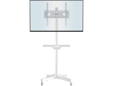 TV Accessories market value: 2304 € (37 pcs.) - 7