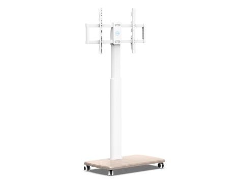 TV Accessories market value: 825 € (11 pcs.) - 2