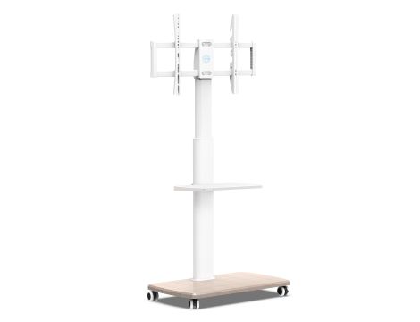 TV Accessories market value: 825 € (11 pcs.) - 6