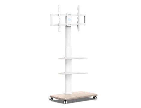 TV Accessories market value: 825 € (11 pcs.)