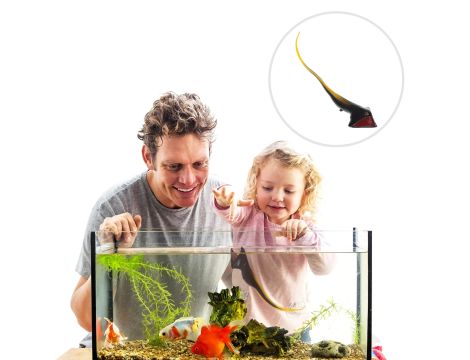 Spielzeug für Kinder marktwert: 4228 € (357 Stk.) - 11