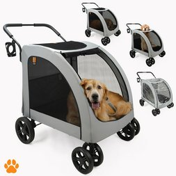 Paleta Zwierzeta 22 szt.