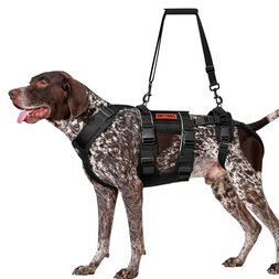 Paleta Zwierzeta 172 szt.