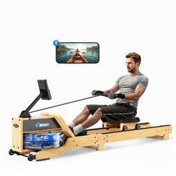Paleta Sport 1 szt.