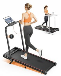 Paleta Sport 1 szt.