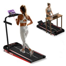 Paleta Sport 1 szt.